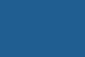 FORDSON EMPIRE BLUE PAINT 1L VLB5046 - Image 2
