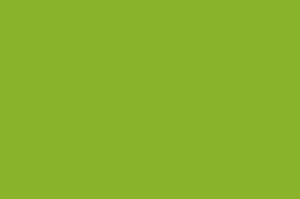 MERLO GREEN PAINT 1L VLB5194 - Image 2